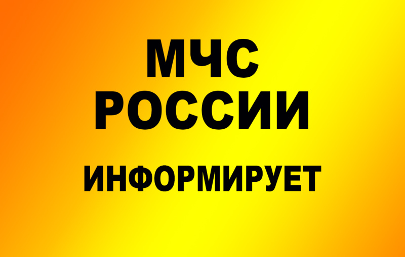 В большинстве районов Приамурья прогнозируются сильные дожди и усиление ветра