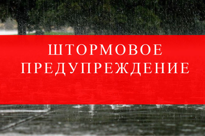 В ближайшие дни в Приамурье ожидаются сильные ливни, дожди, грозы, шквалистое усиление ветра (КОММЕНТАРИЙ)