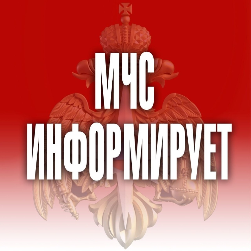 По северным районам Приамурья ожидается усиление ветра до 22 м/с