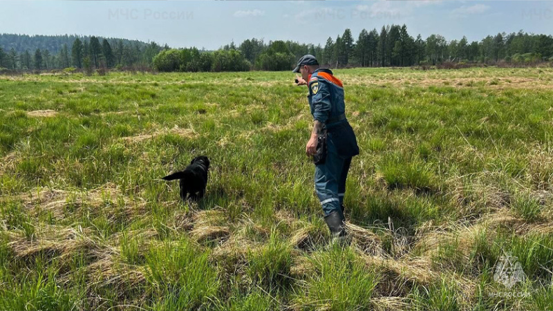 ВГТРКАмур. В Приамурье продолжают искать 47-летнего мужчину.