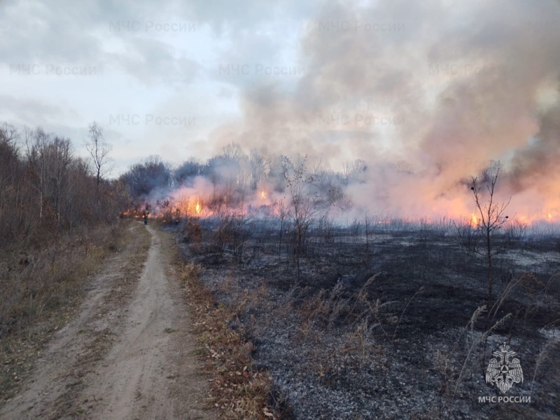 Пожарно-спасательные формирования Приамурья 15 раз ликвидировали возгорания сухой растительности